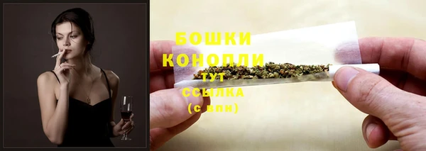 PSILOCYBIN Бронницы