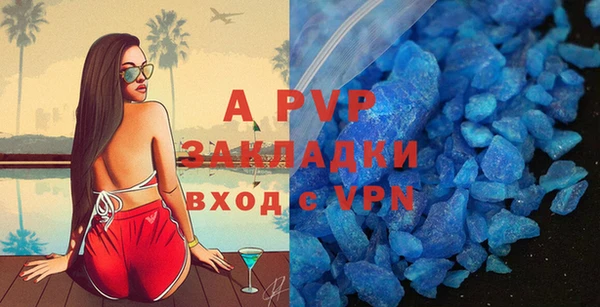 PSILOCYBIN Бронницы